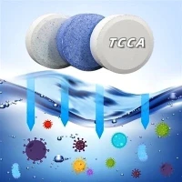 Veiksminga sterilizacija ir aukštos kokybės TCCA vandens valymui